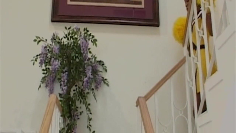 TRASHPORN: सींग का बना हुआ काला लड़की एक गुलाब सफेद scwanz के साथ गुदा सेक्स है