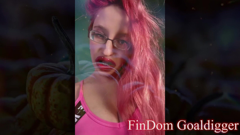 FinDom Goaldigger: Sexy slut Girl Transformation in LA