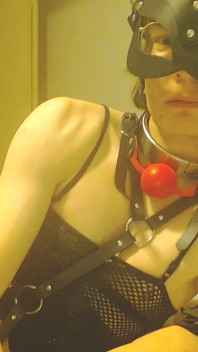 Kinky Kitty Perfect Trans