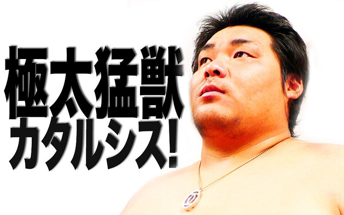 Studio Gumption: 猛禽類の非常に厚いバッファローのカタルシス。