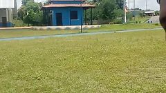 Giarlem slv: Honění na náměstí