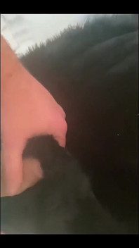 Milfycalla was altijd een onafhankelijke vrouw geweest, maar op deze dag bevond ze zich verdwaald in de bruisende stad