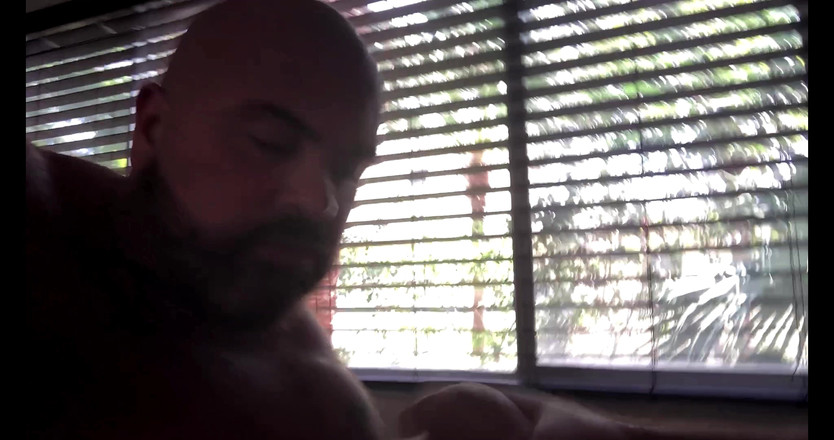 Djemelloxxxx: Návrat hladového prasete 2 4K