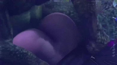 Velvixian 3D: Lady of the woods schwänze