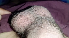 Shonai: 我对茉莉花的感觉太多了，所以我摇晃了我的土地