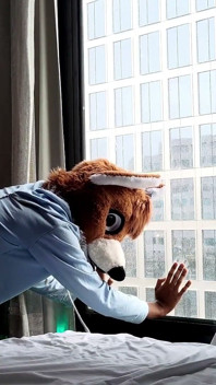 Bareback Femboy Furry Fursuit Fuck in Front of Window