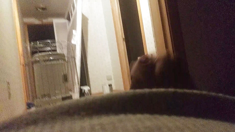 JG Risk: Masterbation 处女作