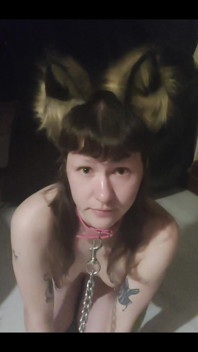 Im Your Pet