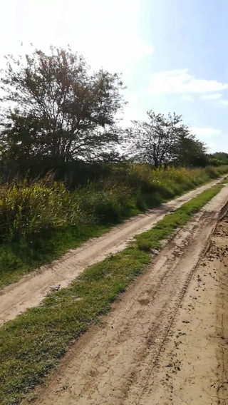 TheArtOfCum: Rychlovka! Honění, pusa a polykání na venkově!