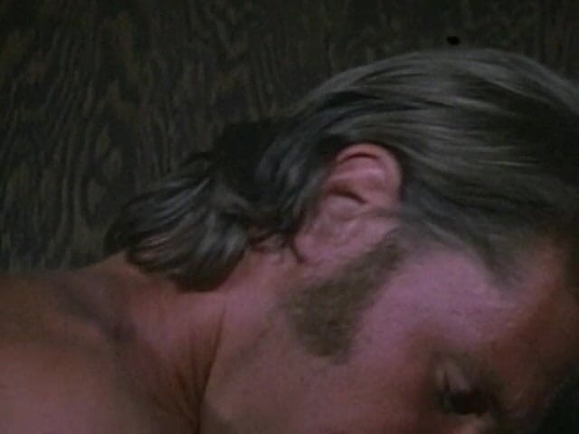 Mustang: Heavy Hung 2