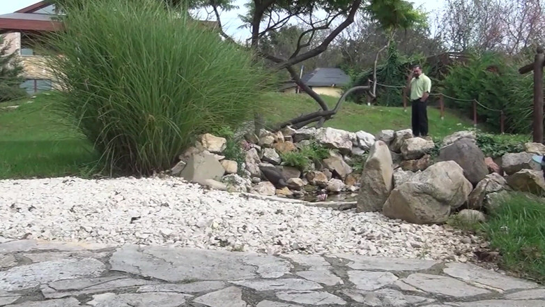 Vintagex: クラシックス4