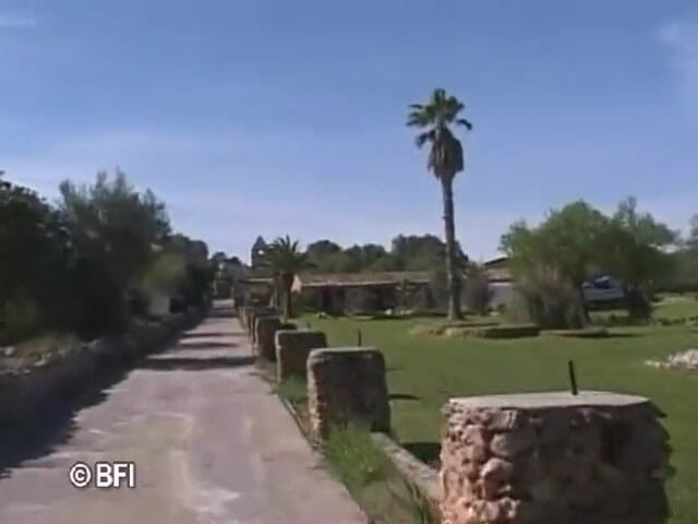 Amazing asses and pussies: Mallorca