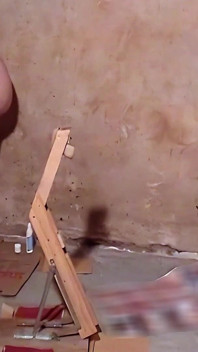 Fleshlight Stand Fuck with Wooden Anal Plug Masturbation