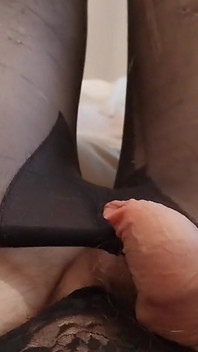 Animada maricas plugada anal em tights ejaculação