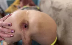 巨大的大黑插入苗条的 tgirl ria bentley 第一人称视角