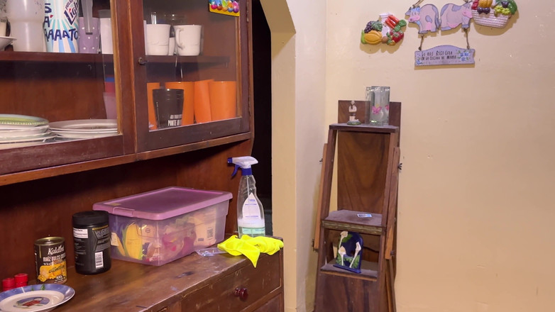 SugarPose: 집에서 알몸으로 스트립하고 청소하는 라틴계 여자