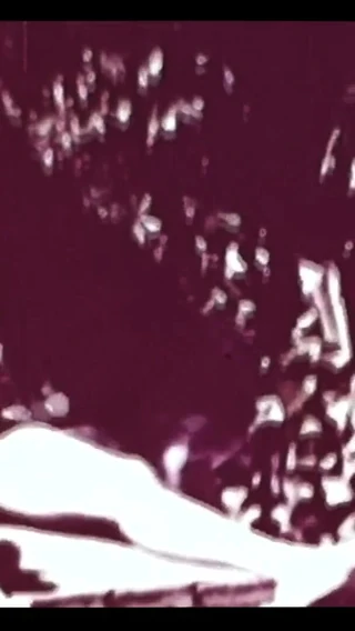 Close Encounter Vintage: Vintage porn retro erotic theatre - wild sex 5