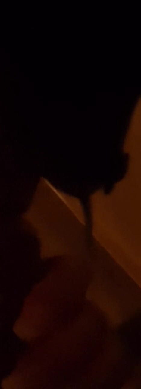 Vivi Reign: Loving Sucking His Dick Emotions