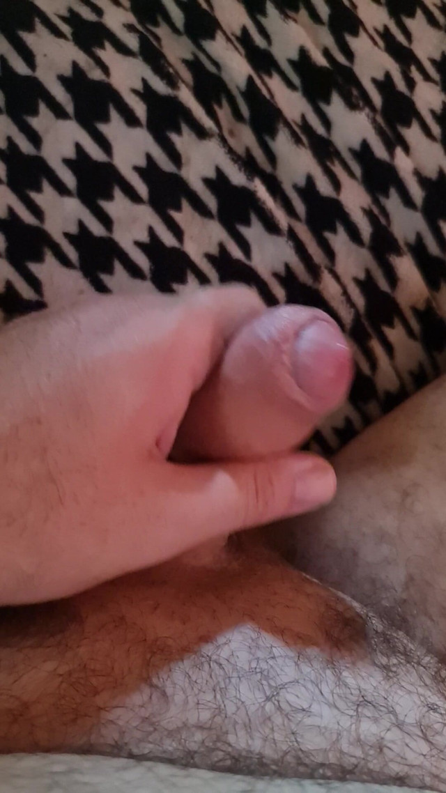Nice Cock Mirko2589 (Mirko2589)