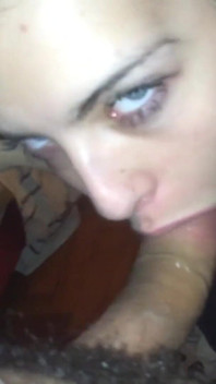 Stoyca začíná