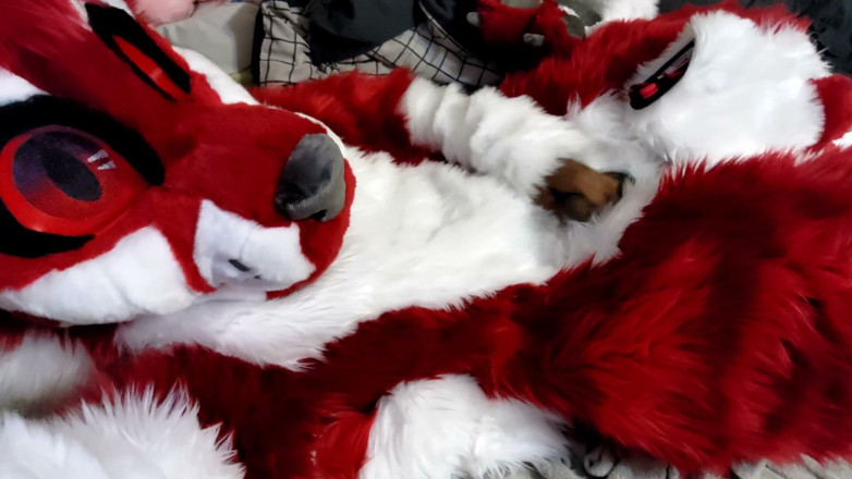 PawgrammerSocks: Jerking off and Showing Footpaws in Full-body Fursuit