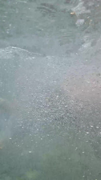Joder lluvia dorada mear culo facial en agua turbia