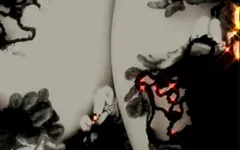 Sexual Gothic