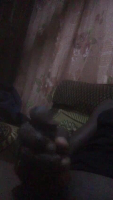 yobo1nene: Amadu