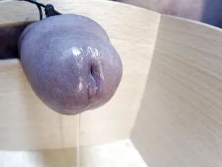 Close up cumshot 21-11-12