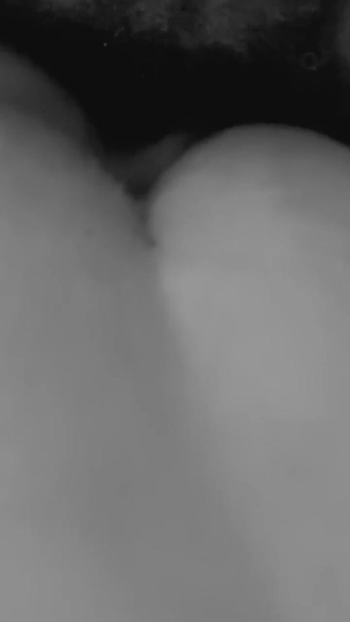 Iiwiii11BBC4trans: Indovina questo suono