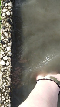 Lavándose Los Pies En La Playa De Horumersiel