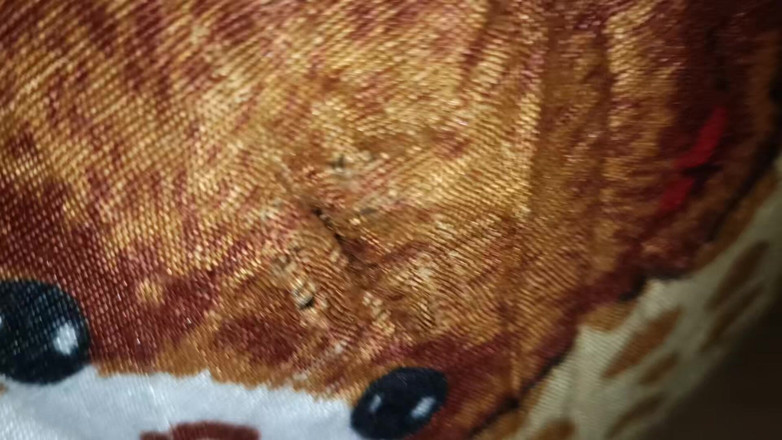 Catchybusty: 誰も家にいない パート 2