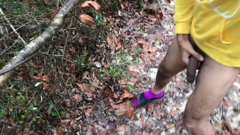 Arthur Eden aka Webcam God: Raja hutan hujan (4K)