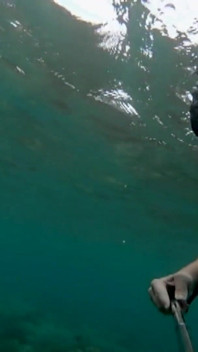 Snorkel snorkel: bikini ketat, topeng selam & teaser fin bawah air