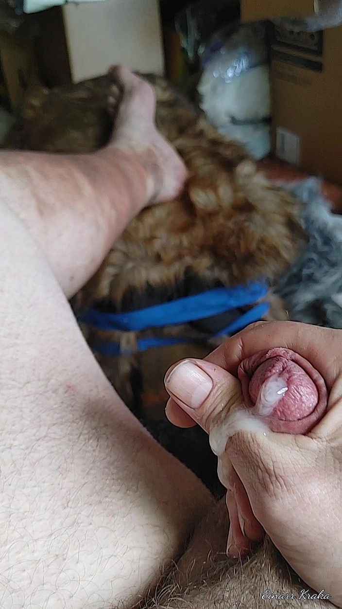 BigManShaman: Dra i kuk