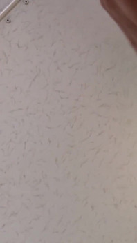Tvrdá anální masturbace gilf milfky