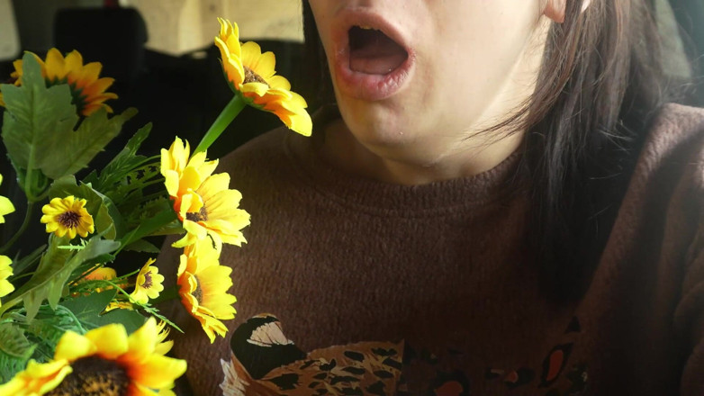 AmayaMori: Чхання поміщається в машині, моя реакція на алергію на пластикову квітку