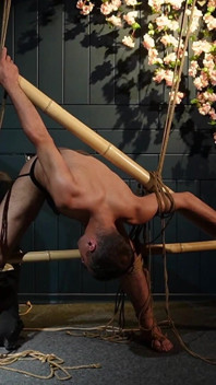Vackra Zeus bunden med juterep Shibari Elegans I maktlös position Spänning