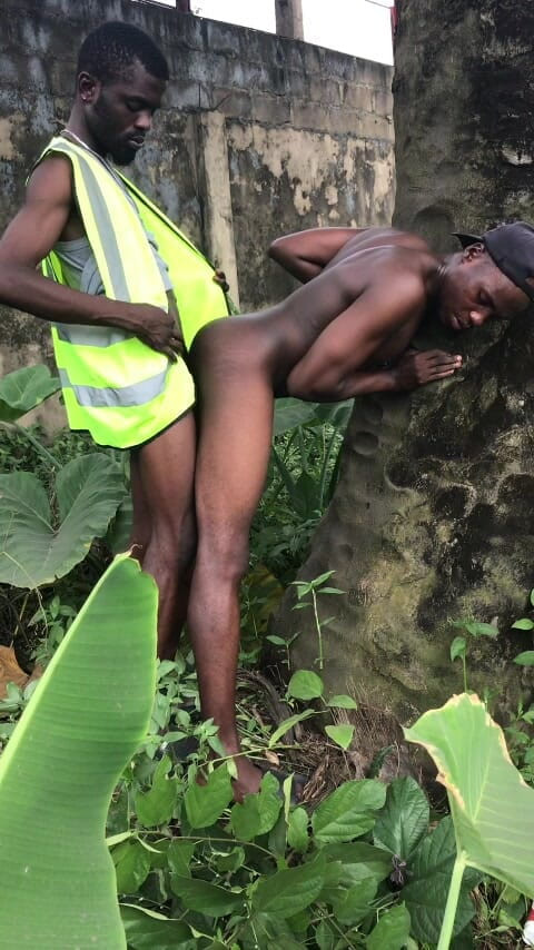 Sexydaddy: Sesso all'aperto dietro la palm tree è la fattoria