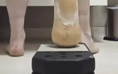Butternut