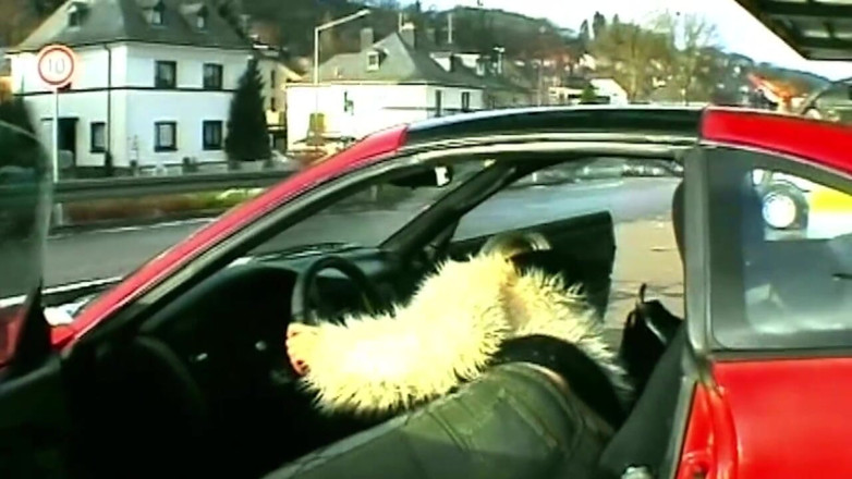 My German Amateurs: Une blonde suce une bite puis doigte sa chatte mouillée