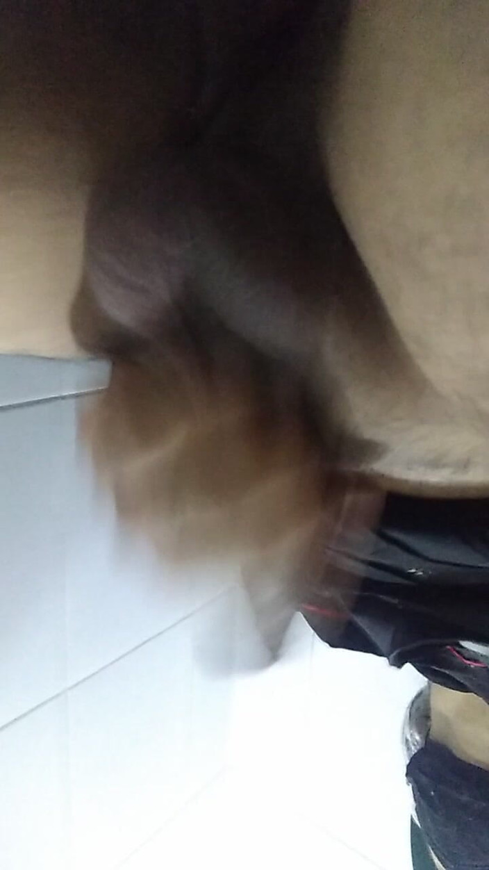 AlexAlejandro13: 잘라다스