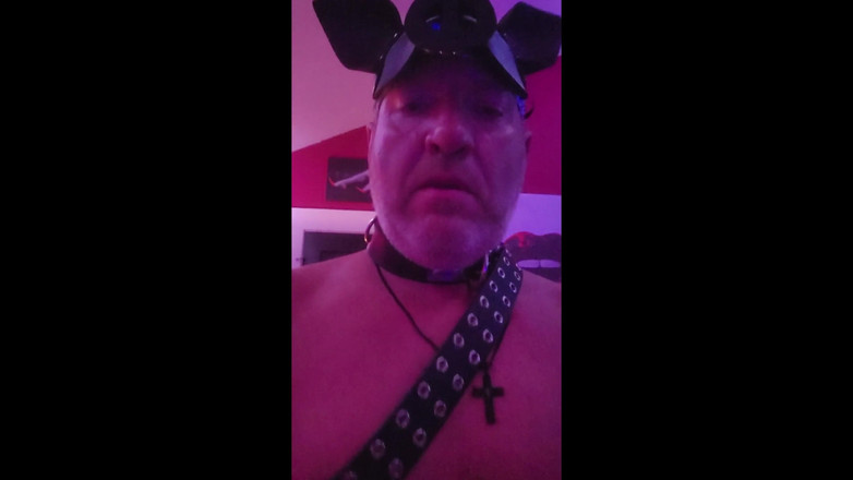 Kat-Licious: Babi BigsexyDaddyd MembuatKan Domkat Kat-Licious Squeal Dalam Keseronokan