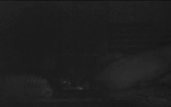 Jollyfuckingoldman: Wife Caught Husband Cheating with the Babysitter
