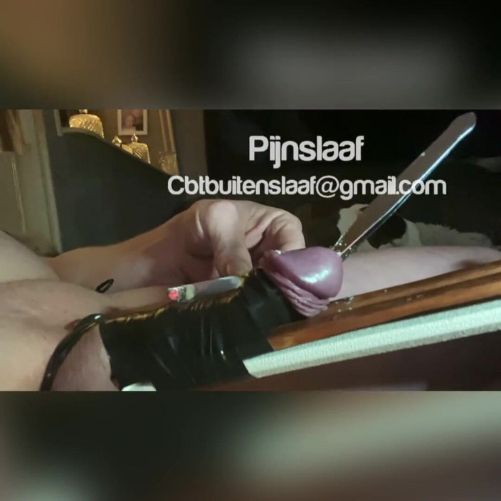 No limit cbt slave: Муки члена, засвіт бавовни