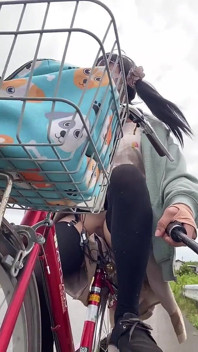 Passeggiata e distributore automatico della città n. 245