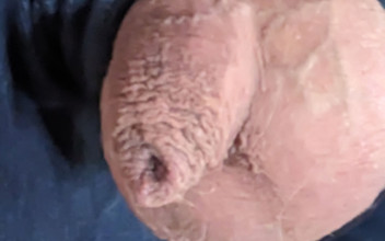 Karlchengeil: Zakar saya - kencing dan perah