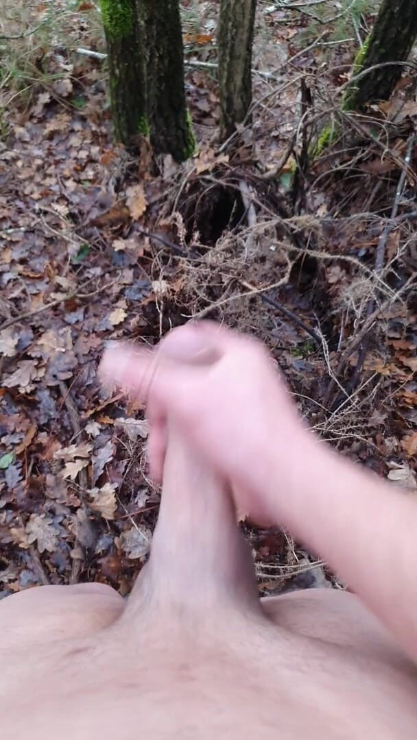 Timmyboy: Timmyboy aku pergi untuk lari di hutan dan aku jadi...