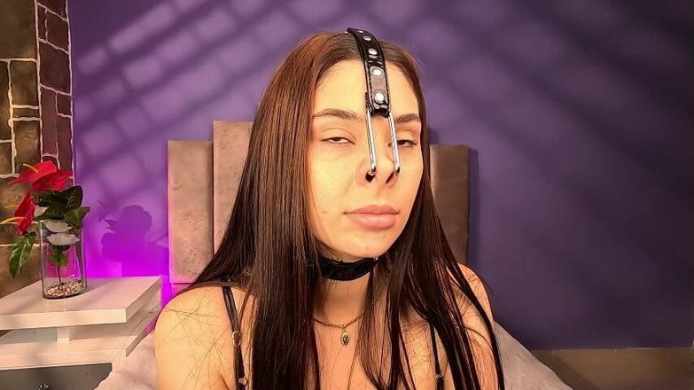 alejakink: Arpone prasečí nos