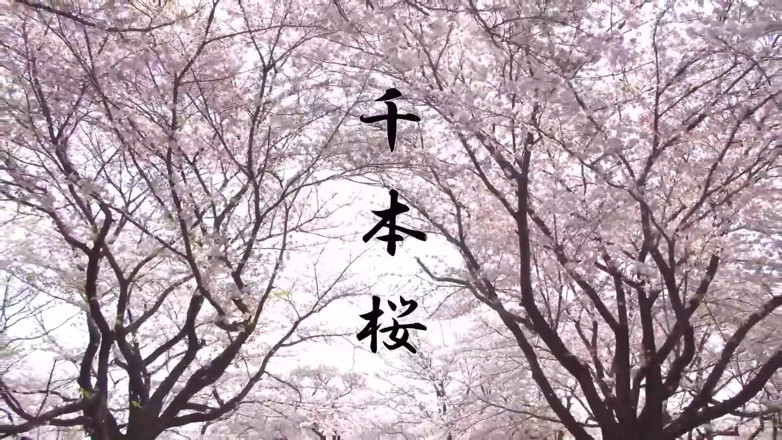 Studio Modern Shunga - JAV: Înger asiatic 20701